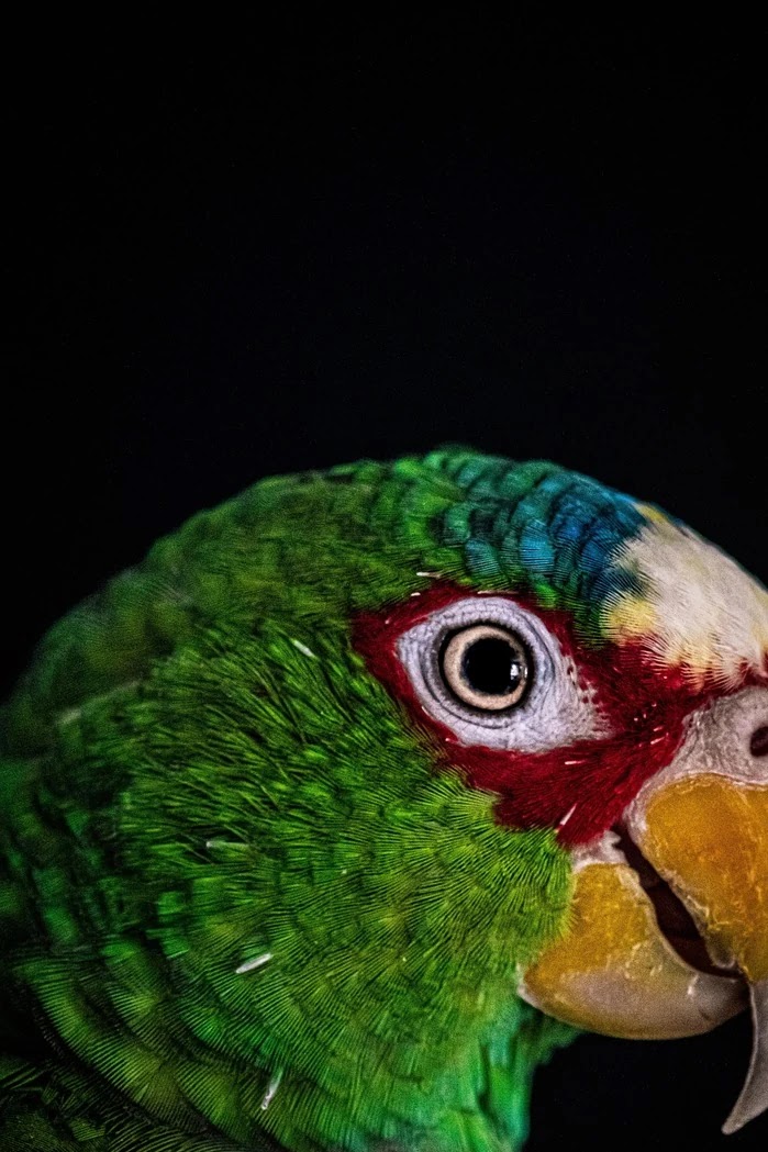 계절별 전기요금 고지서 항목별 이해와 절약 포인트