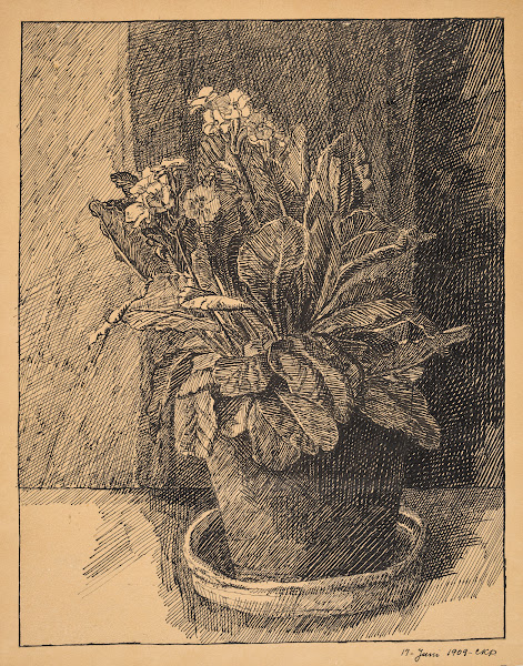 Urtepotte med primula 1909