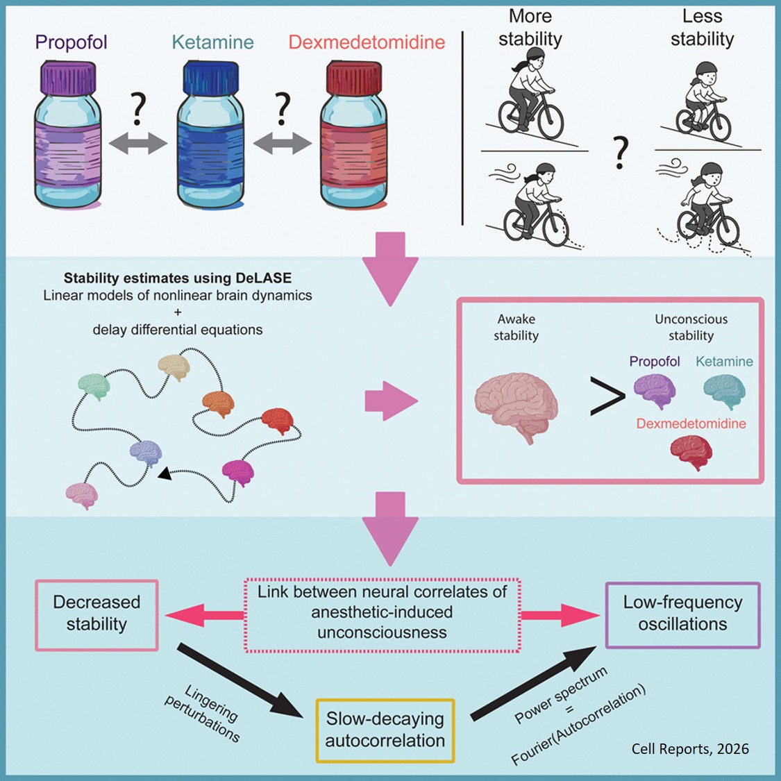 Similar destabilization of neural dynamics under different general anesthetics