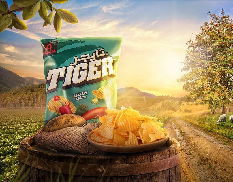 Tiger chips packaging