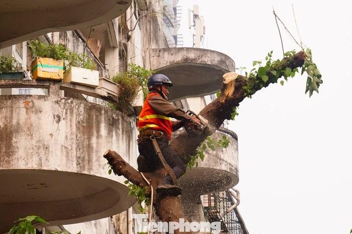 Hà Nội phá dỡ chung cư 51 Huỳnh Thúc Kháng sau 35 năm - Báo Tiền Phong
