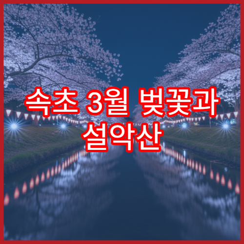 속초 3월 벚꽃과 설악산 조합 당일치기 여행