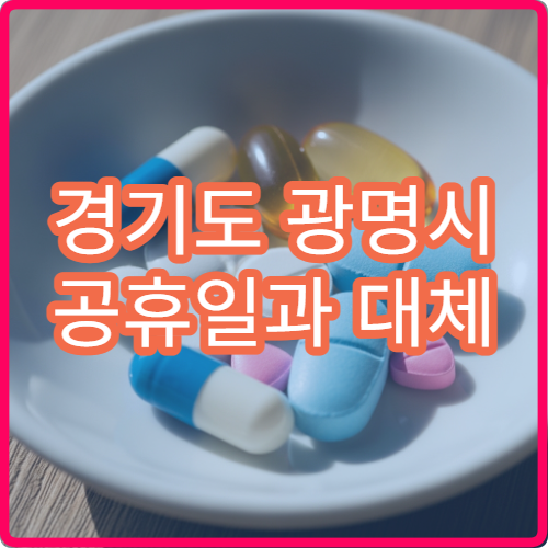 경기도 광명시 공휴일과 대체 공휴일 산부인과 진료 병원 찾기