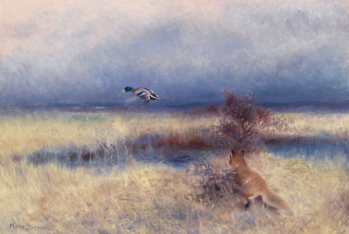 Räv Jagandes And Fox Chasing A Duck