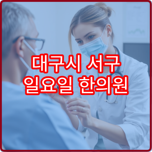 대구시 서구 일요일 한의원 진료 가능한 병원을 제시한 종합 정보