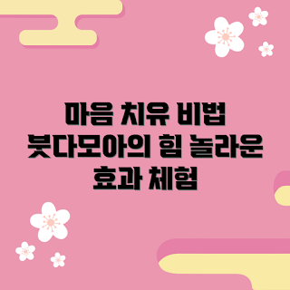 붓다모아, 마음 치유, 정신 건강, 스트레스 해소, 명상 효과