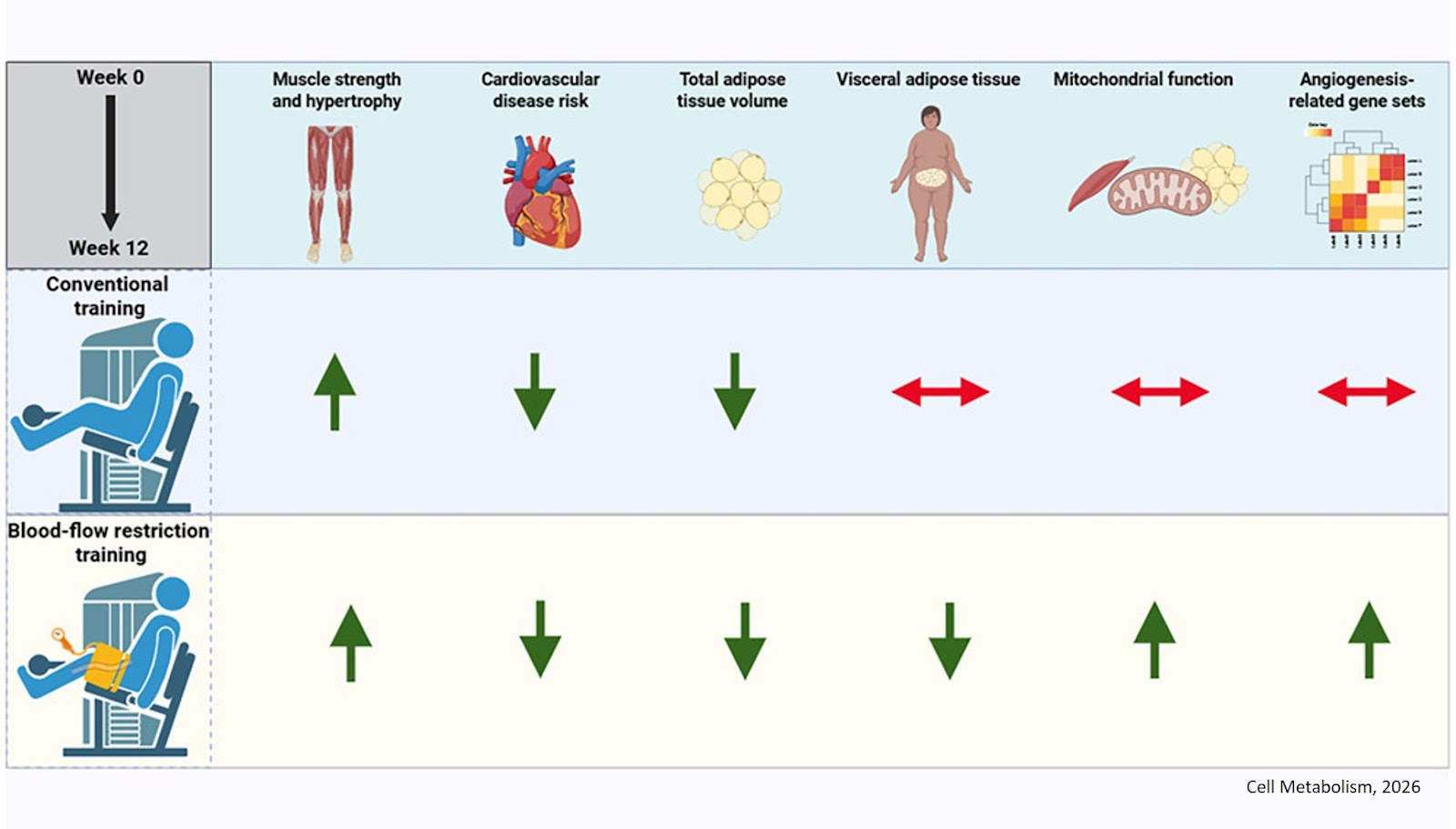 Blood-flow restriction training for type 2 diabetes