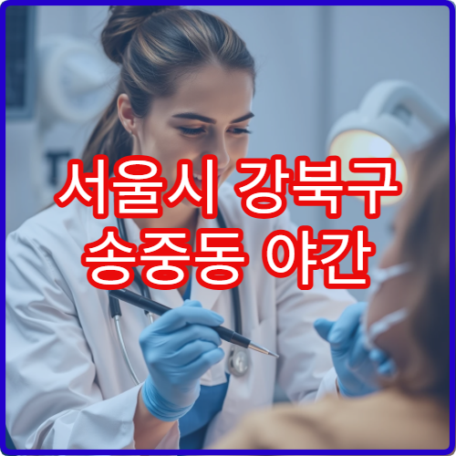 서울시 강북구 송중동 야간 정형외과 디스크·근육통 치료 병원