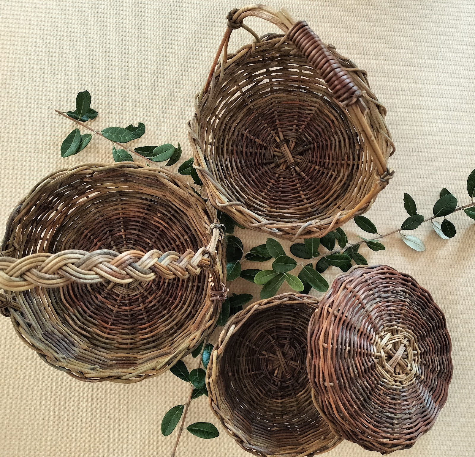 草marukeの画像１