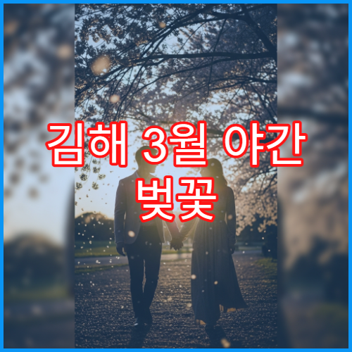 김해 3월 야간 벚꽃 산책 아이와 함께 안전하게 걷는 법