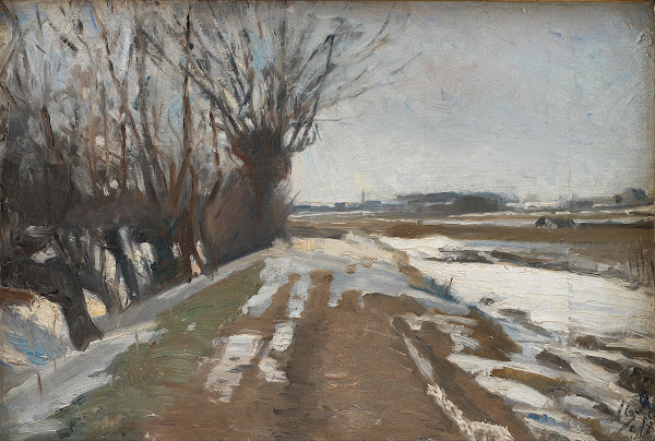 Winter Landscape Utterslev Near Copenhagen
