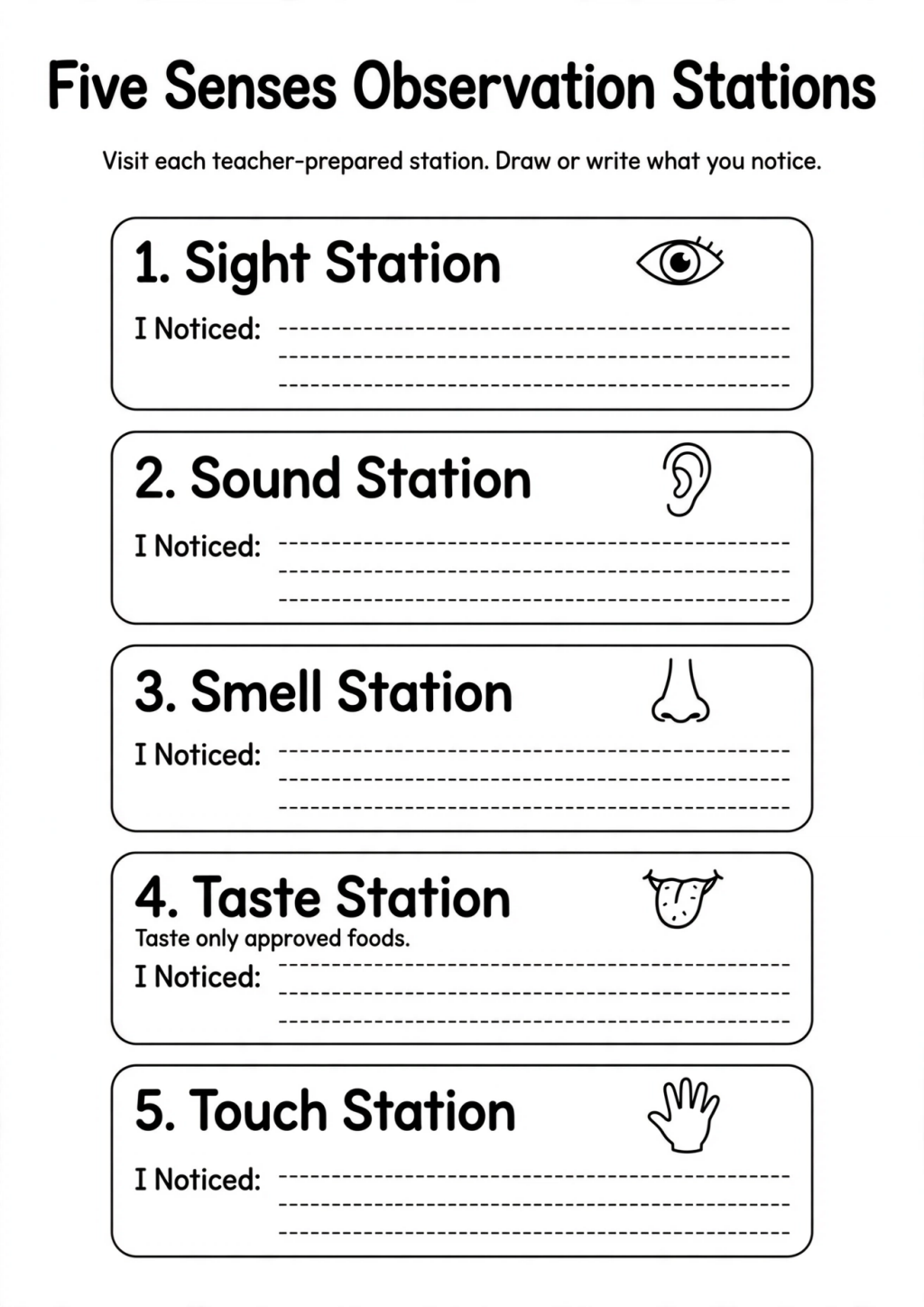 Five Senses Observation Stations