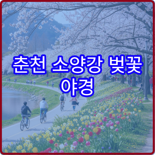 춘천 소양강 벚꽃 야경 드론 촬영 허용 구역과 주의사항