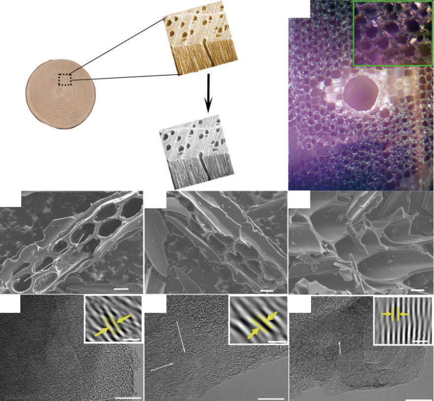 A review of hard carbon anodes for rechargeable sodium-ion batteries