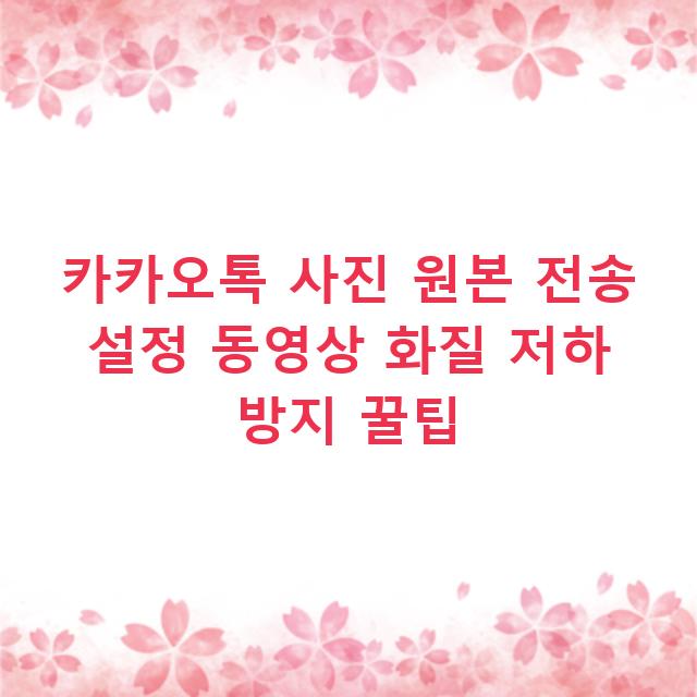 카카오톡 사진 원본 전송 설정 동영상 화질 저하 방지 꿀팁