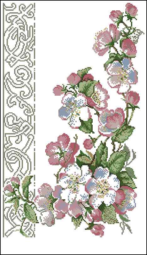 CMP 170287 Blooming Apple Tree