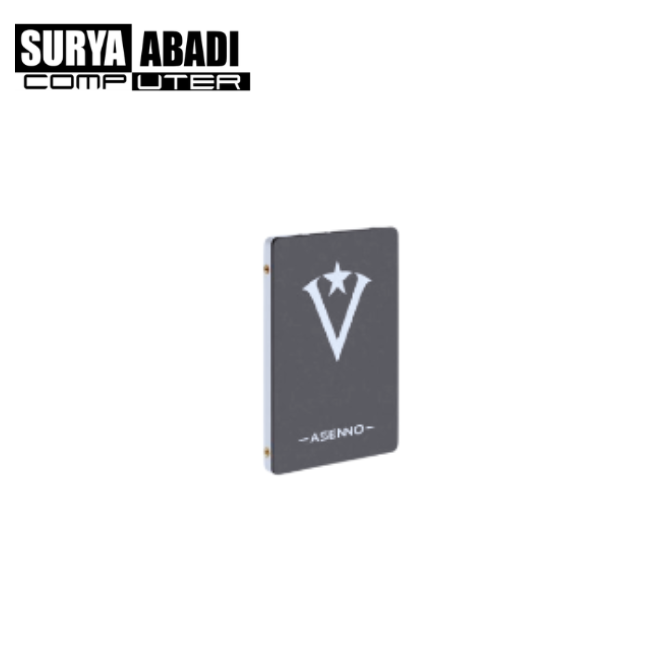 SSD ASENO 256 GB