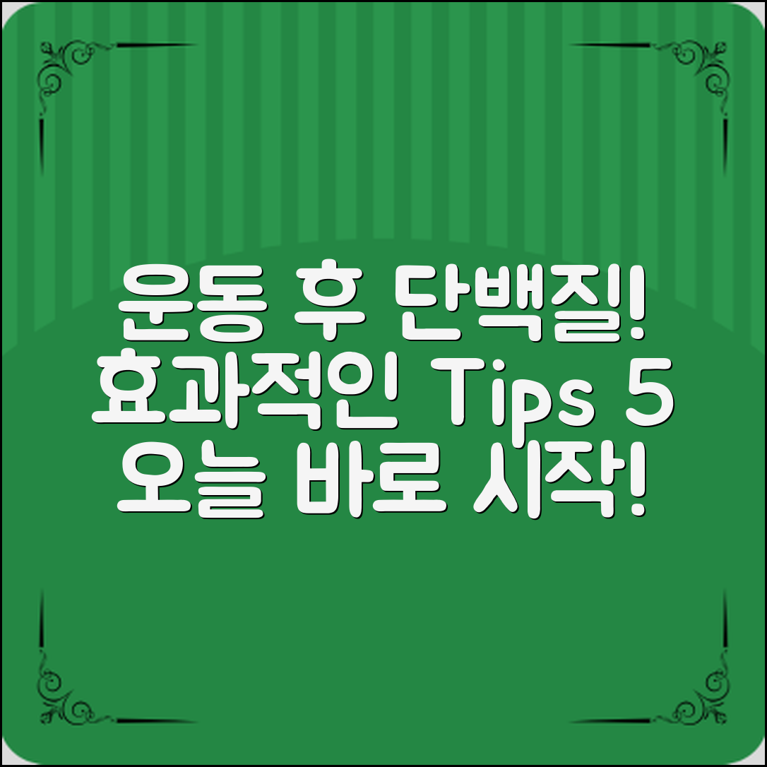 운동후단백질섭취, 효과적인 팁 5가지!