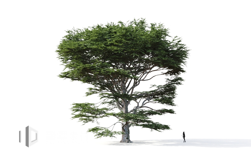 Maxtree - Plant Models Vol.9