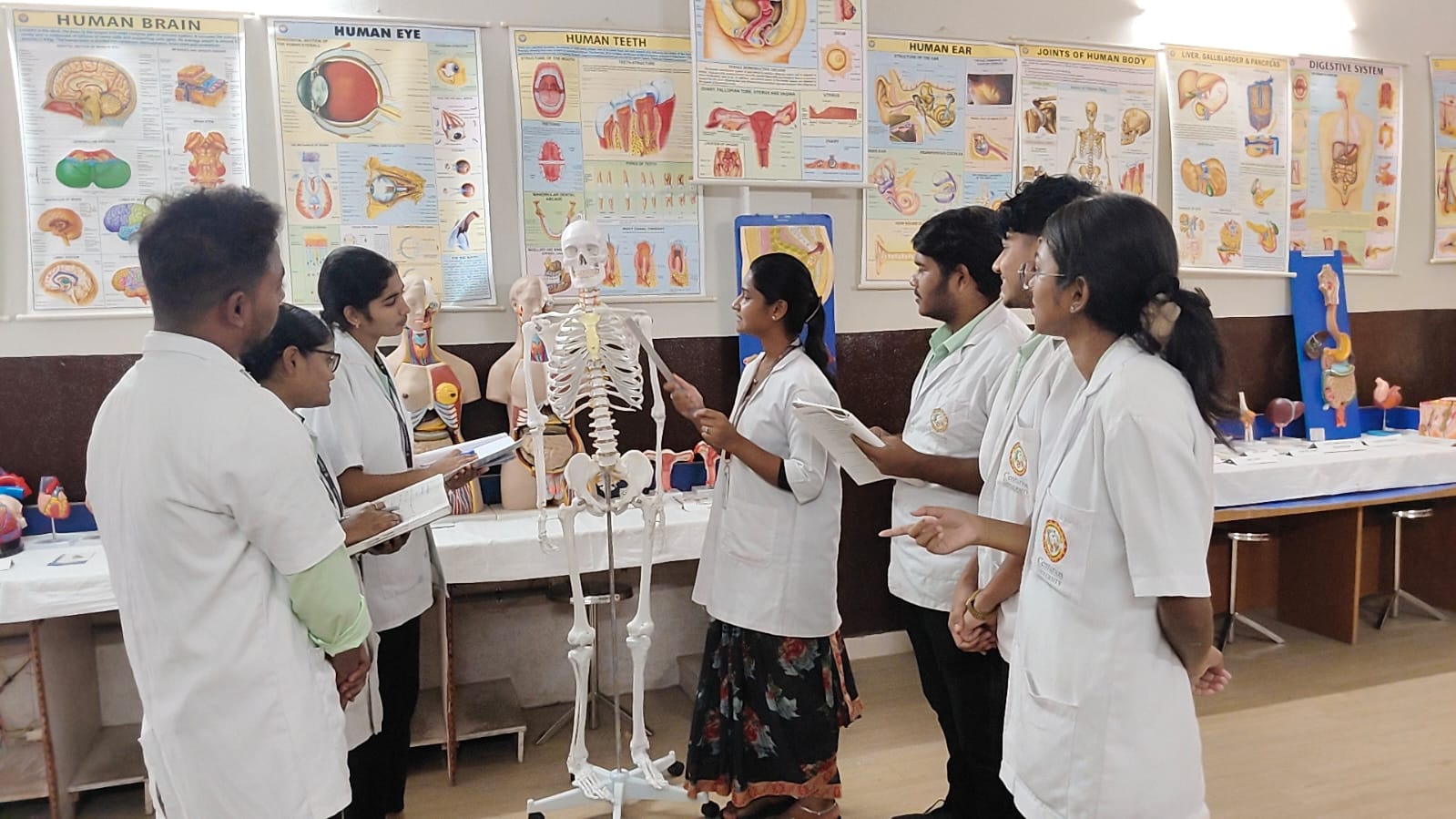 Anatomy & Physiology Lab