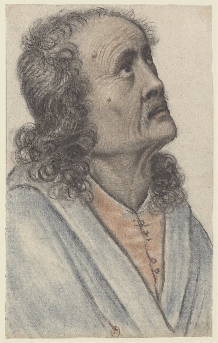Homme âgé aux cheveux longs et bouclés levant la tête vu presque de profil à dro