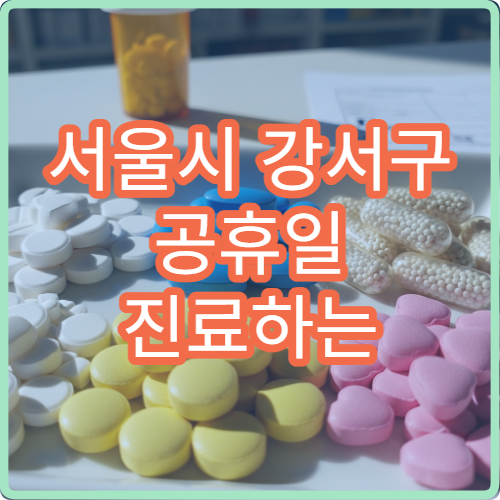 서울시 강서구 공휴일 진료하는 병원 어디? 당직병원 진료과목 및 접수 시간 안내