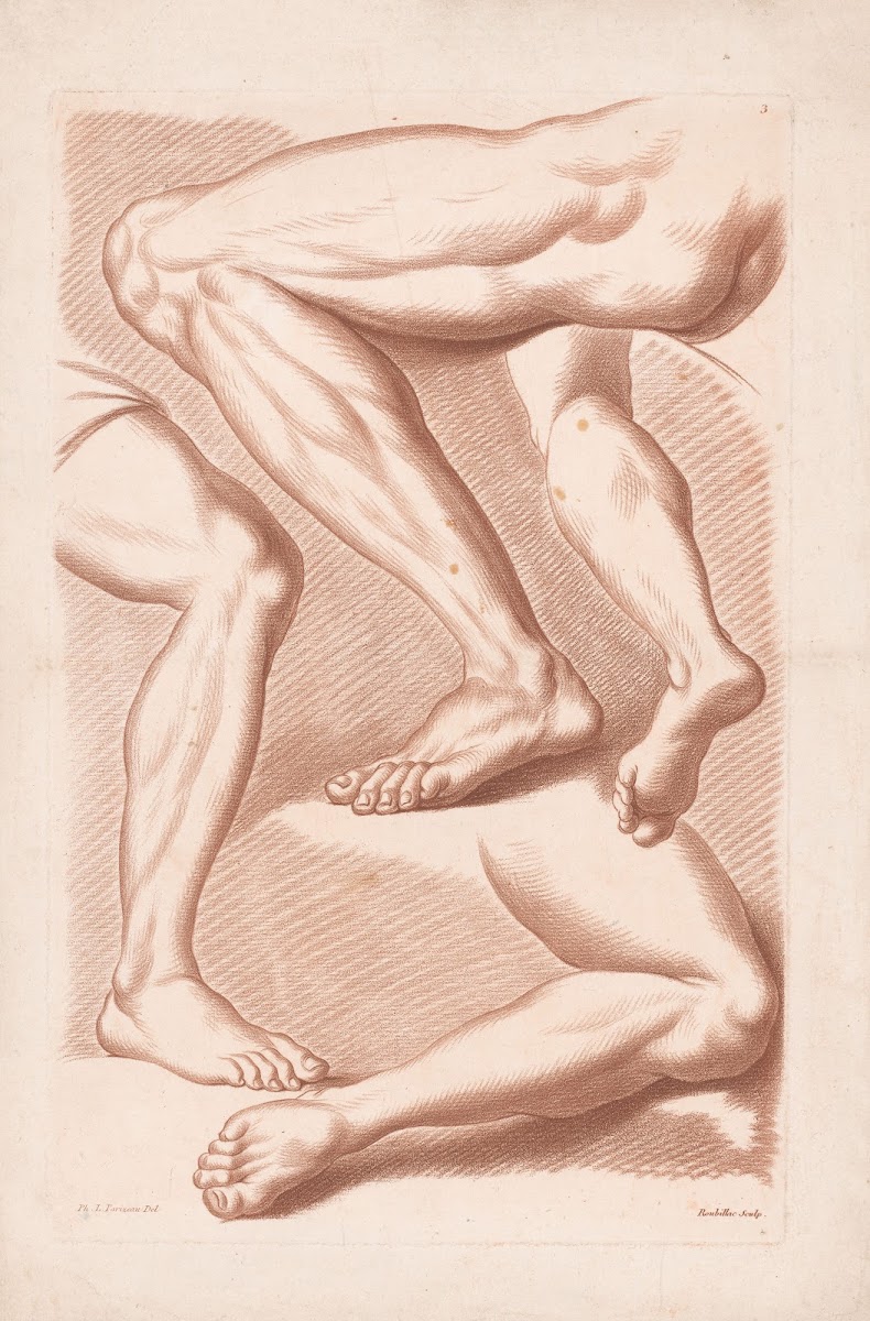 Four legs in various poses 1749 1849
