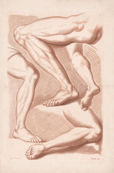 Four legs in various poses 1749 1849