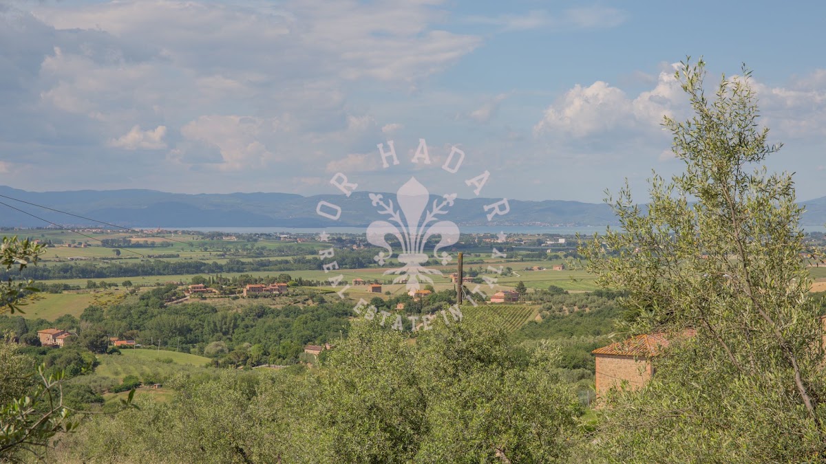 הפודרה דיי פיני (Il Podere dei Pini) — 37