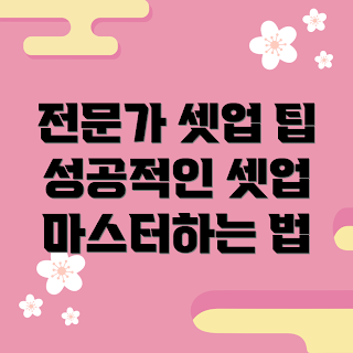셋업 가이드, 전문가 셋업, 성공적인 셋업, 셋업 마스터, 셋업 방법