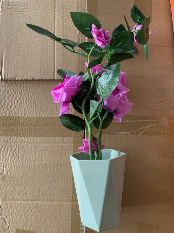 Pokok Mini Type 3 Rose Bunga Mawar