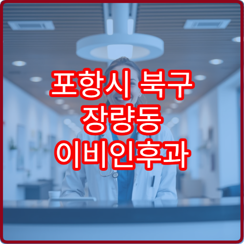 포항시 북구 장량동 이비인후과 설날 연휴 진료 병원 정보