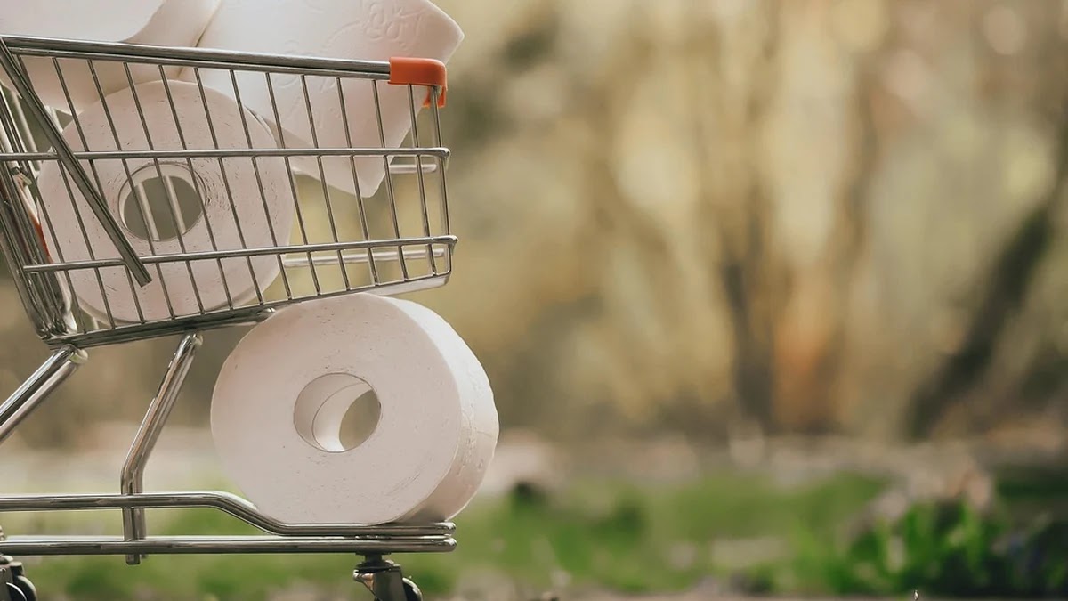 분할매수 전략의 심리학적 배경과 투자 효율성 비교