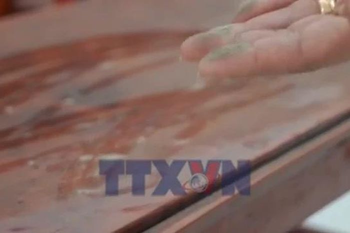Cần Thơ: Hàng trăm hộ dân khổ sở vì bụi cám từ nhà máy xay xát - Báo VietnamPlus
