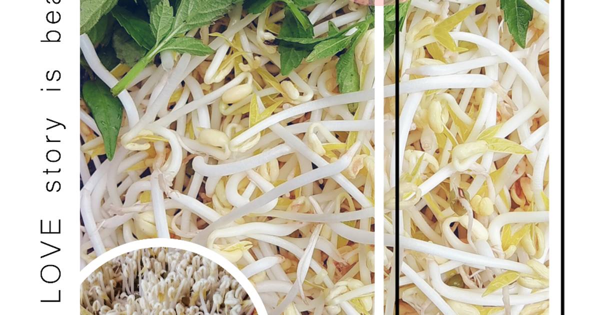 Giá đỗ nhà làm