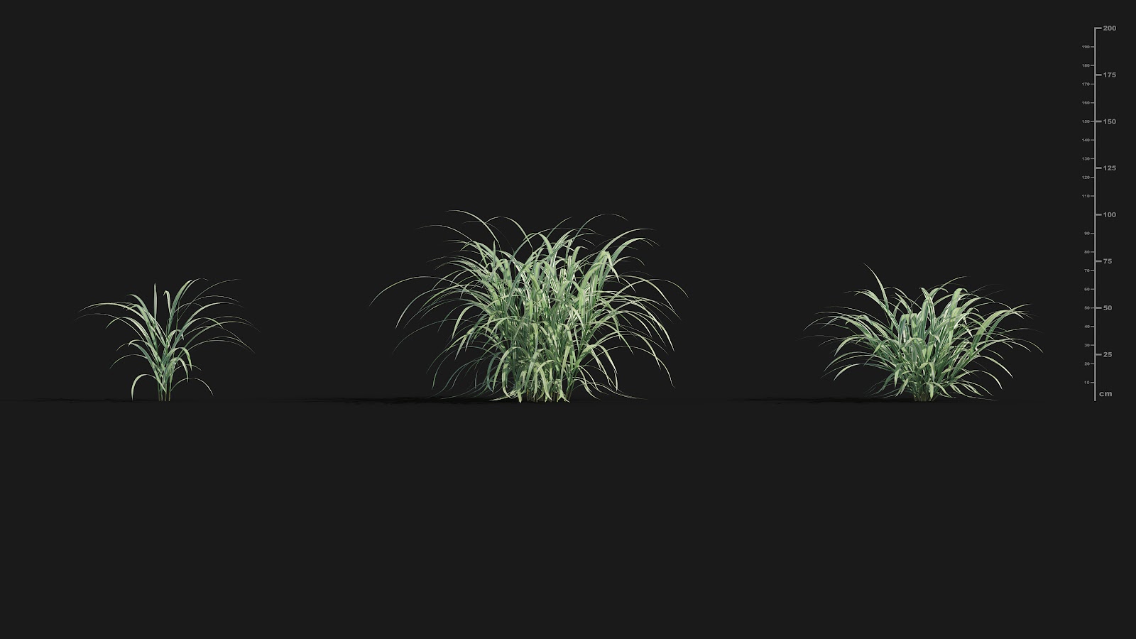 Maxtree - Plant Models Vol.29