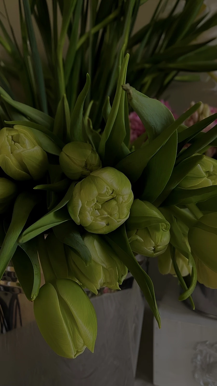 Fresh Green Tulip Bouquet - Floral Photography Full HD iPhone Wallpaper (1286x2286)