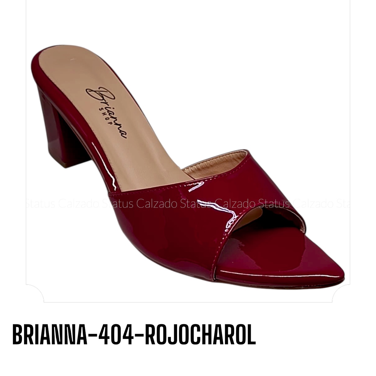 BRIANNA-404-ROJOCHAROL