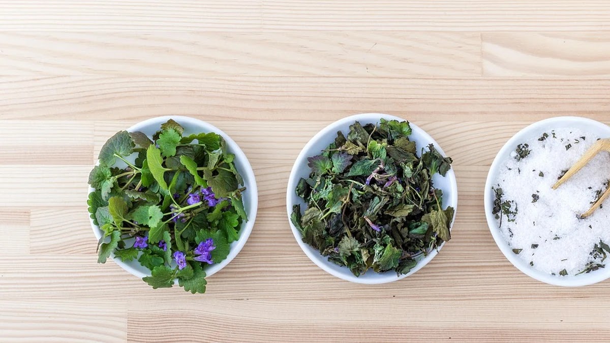 건강기능식품 성분별 효과와 안전 복용 기준 비교