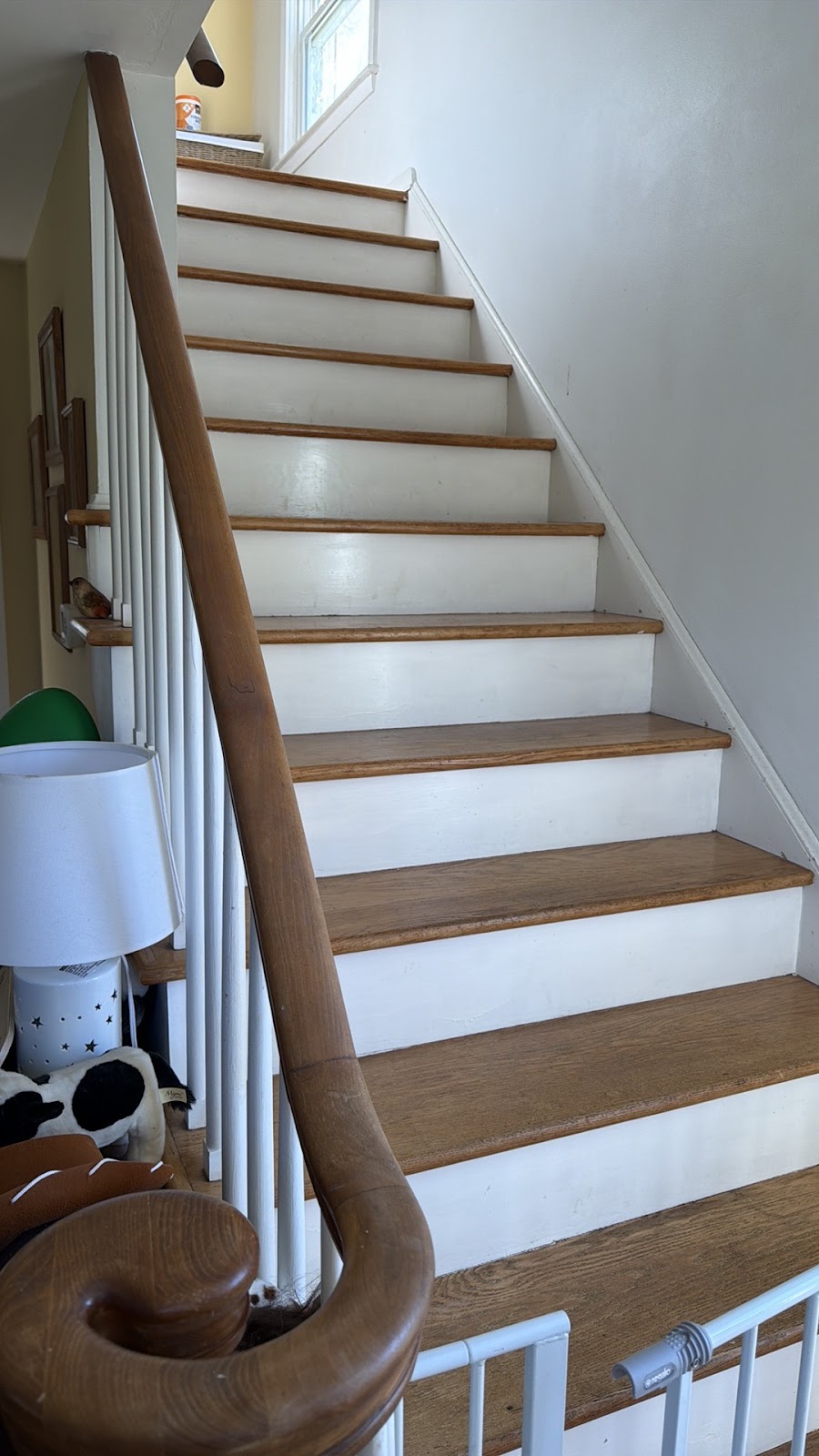 Copy of IMG_2026-03-12_16-19-42_337.jpg