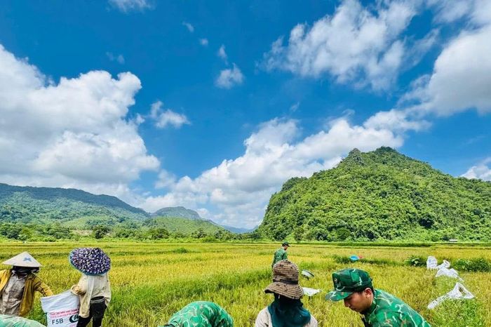Rộn ràng 'mùa vàng' trên biên giới - Báo Tiền Phong