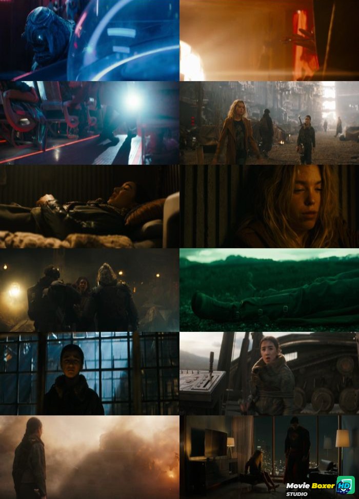 Screenshots Grid