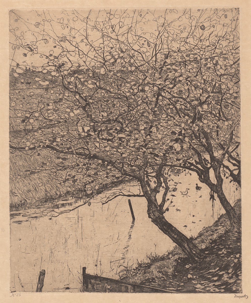 Apple Trees along the Side of a Ditch 1894