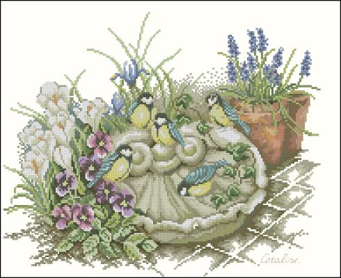 CMP 360060 Pattern