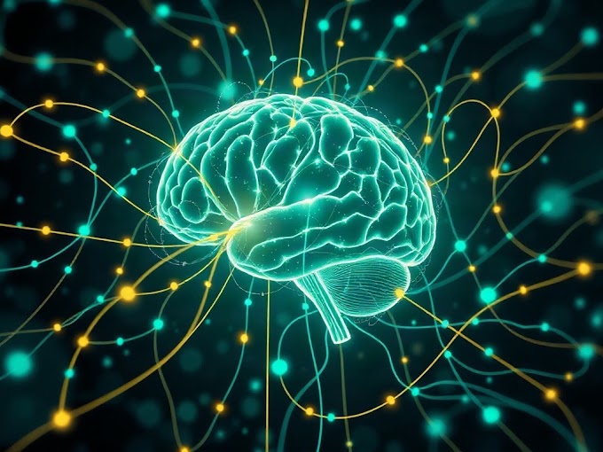 Stop Thinking Machine Learning Is Magic — Here's What It Actually Does
