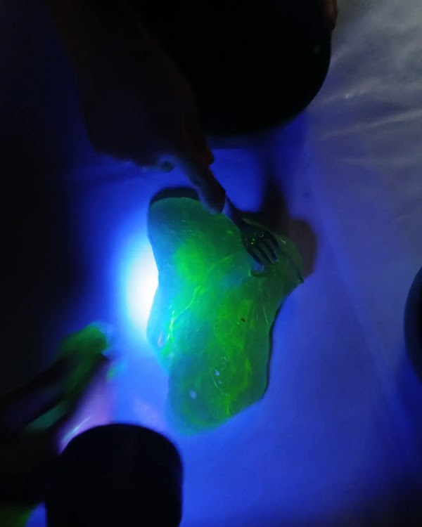 Taller Experimental de Ciencias