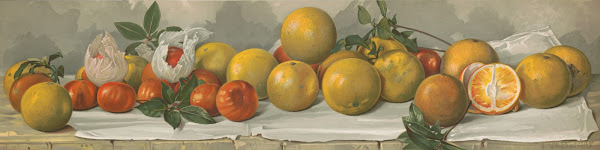 Study of oranges 1891