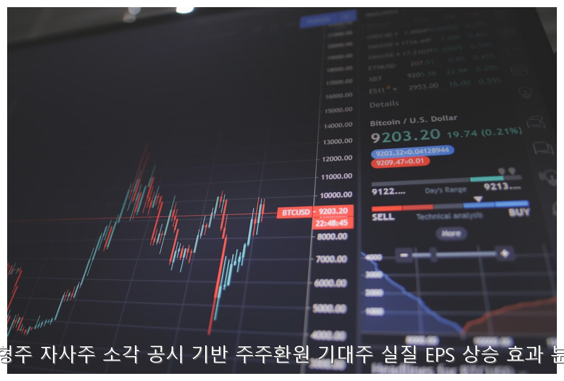 대형주 자사주 소각 공시 기반 주주환원 기대주 실질 EPS 상승 효과 분석 핵심 안내 및 분석 인포그래픽 (8)