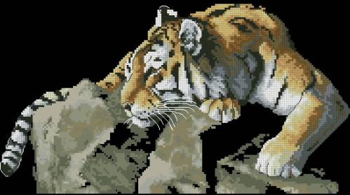 CMP K4631 Tiger On The Rock