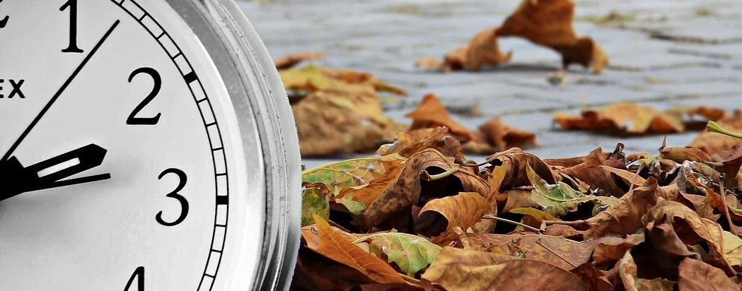 재수와 반수 선택 기준, 정책 변화가 미치는 입시 성공률 비교 분석